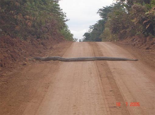 funimages image photo insolite extreme nature humain homme